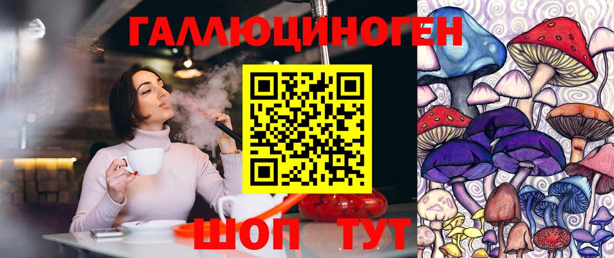где купить наркотик  Вход с VPN  Псилоцибиновые грибы ЛСД  Ржев  Псилоцибиновые грибы Psilocybine cubensis 